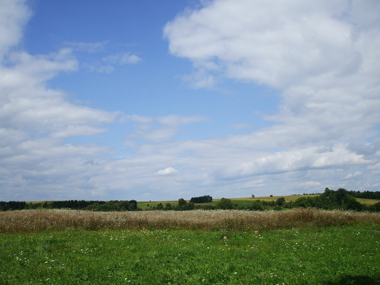 field countryside rural free photo