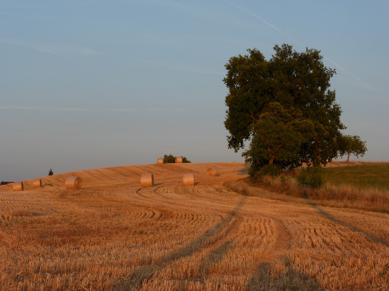 field france summer free photo