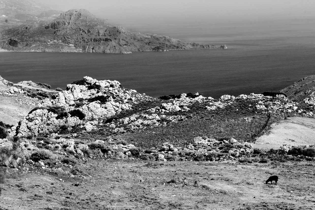 field seaside crete free photo