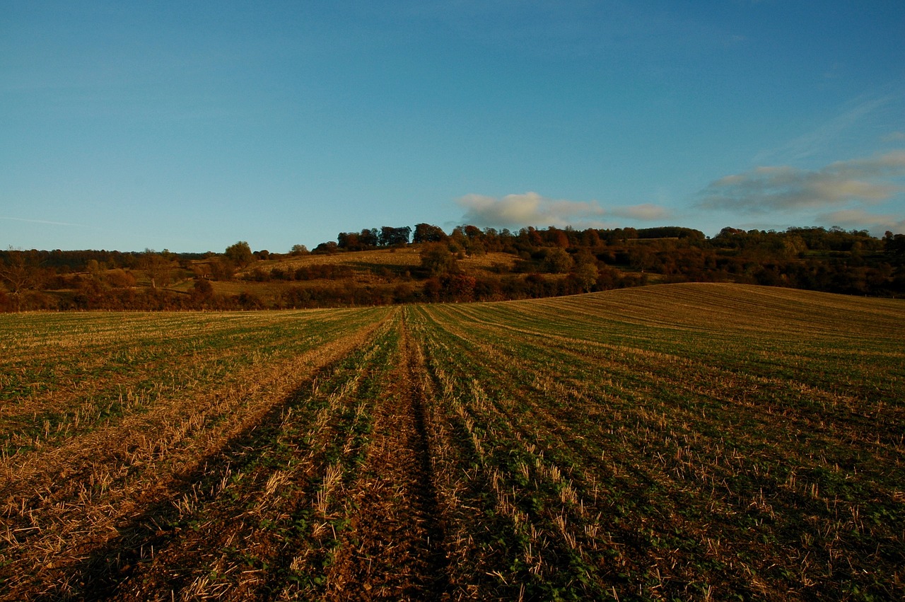 field autumn fall free photo