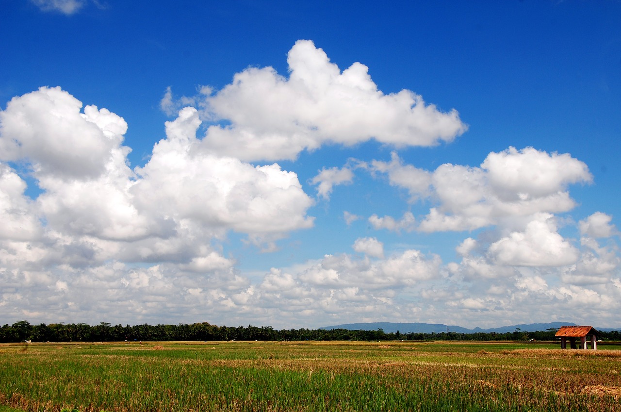 field cloud the landscape free photo