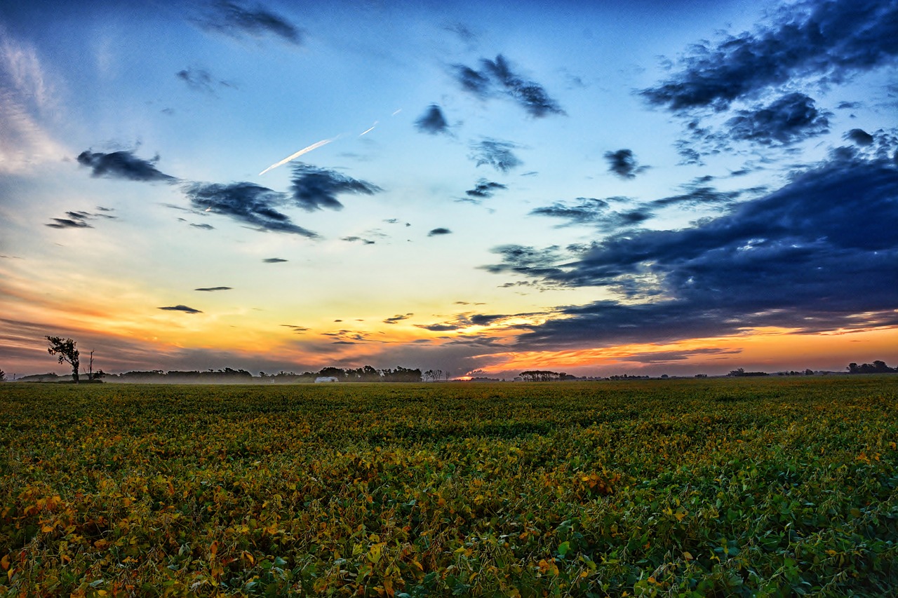 field planting landscape free photo