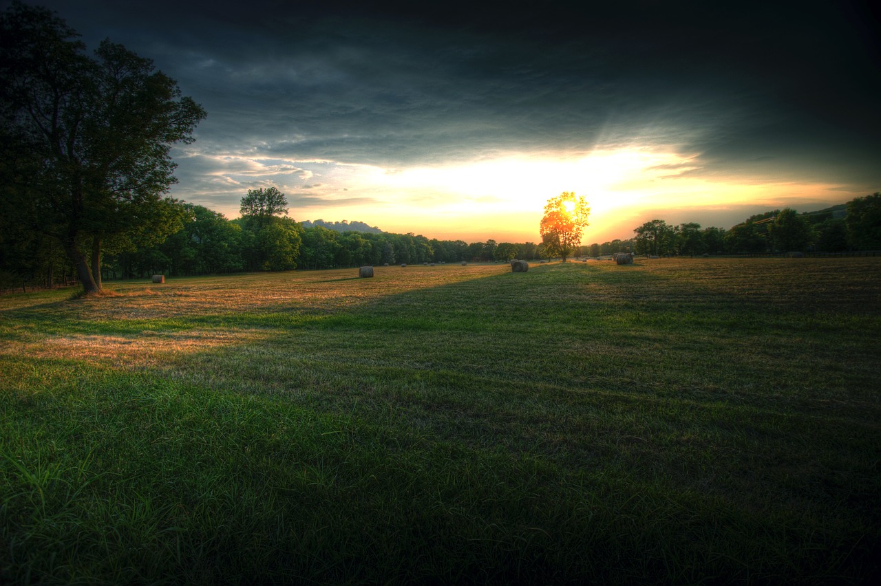 field horizon nature free photo