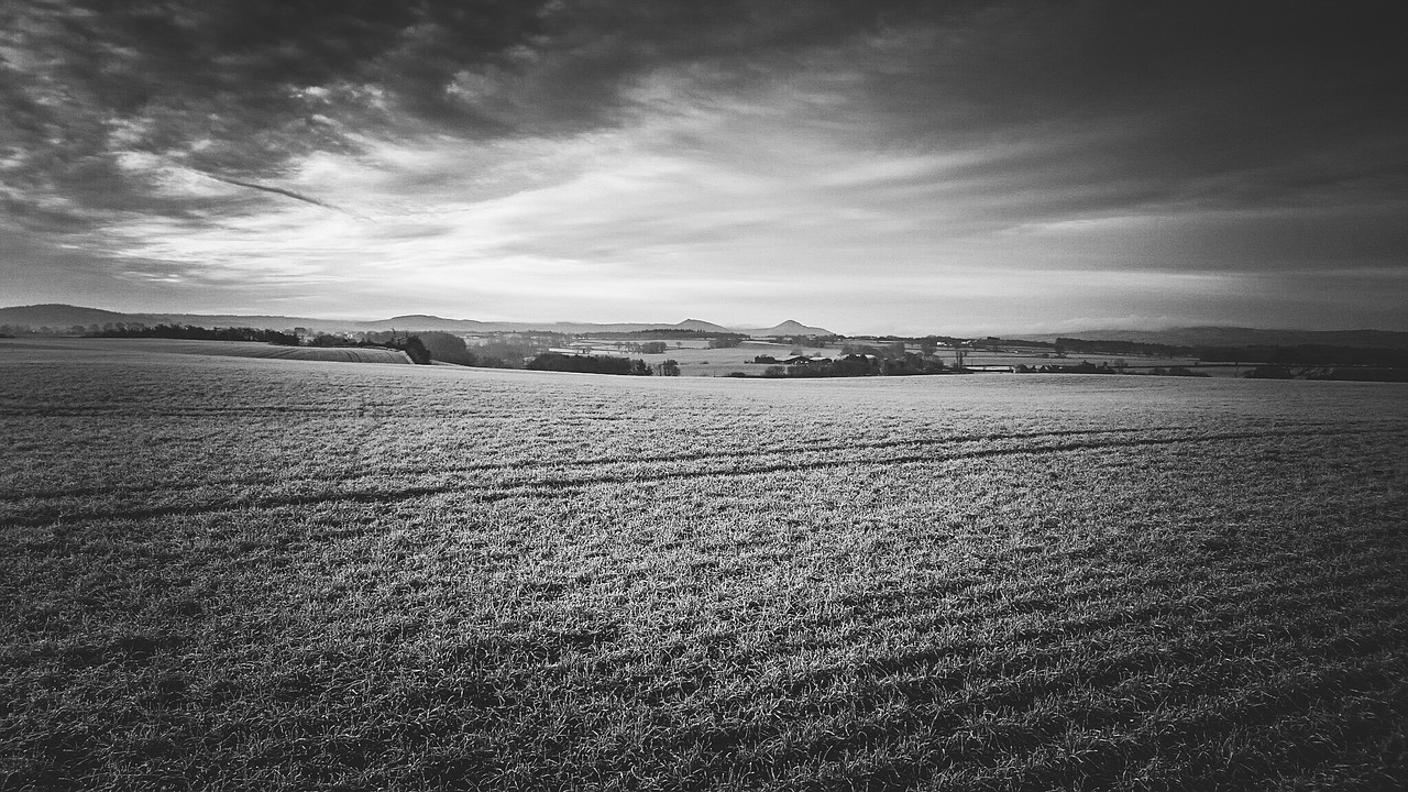 field landscape nature free photo