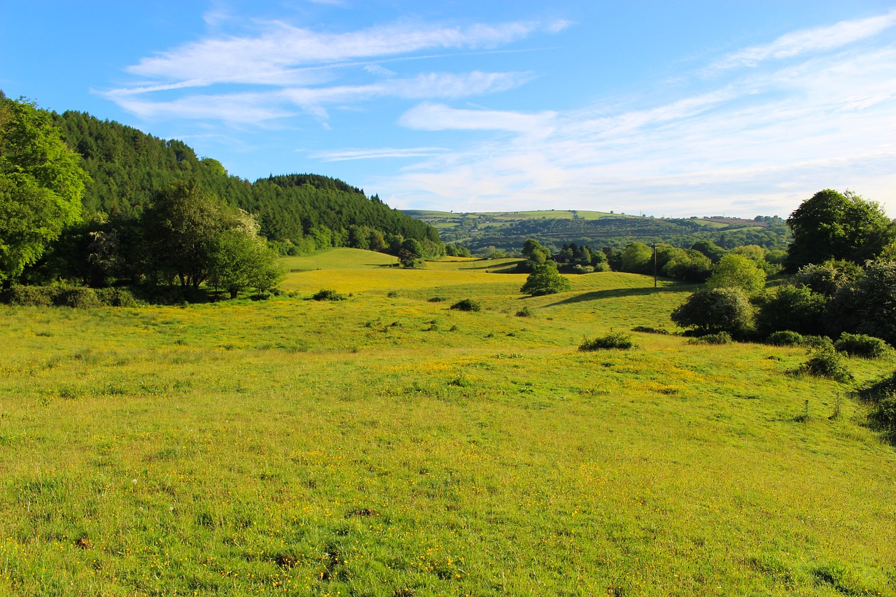 field nature countryside free photo