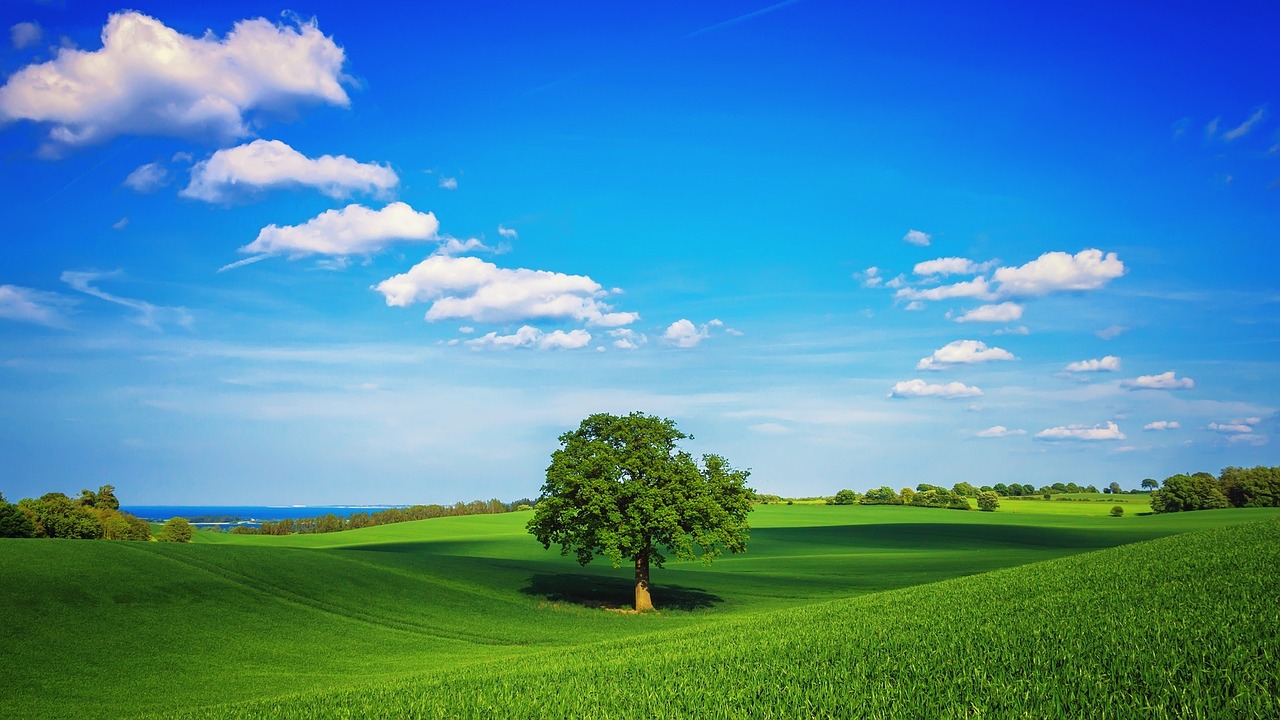 field tree clouds free photo