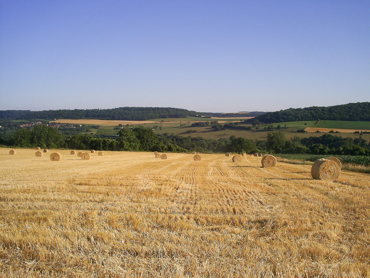 field harvest straw free photo