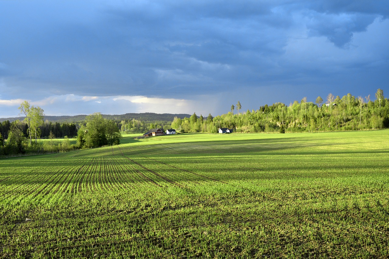 field storm clouds free photo