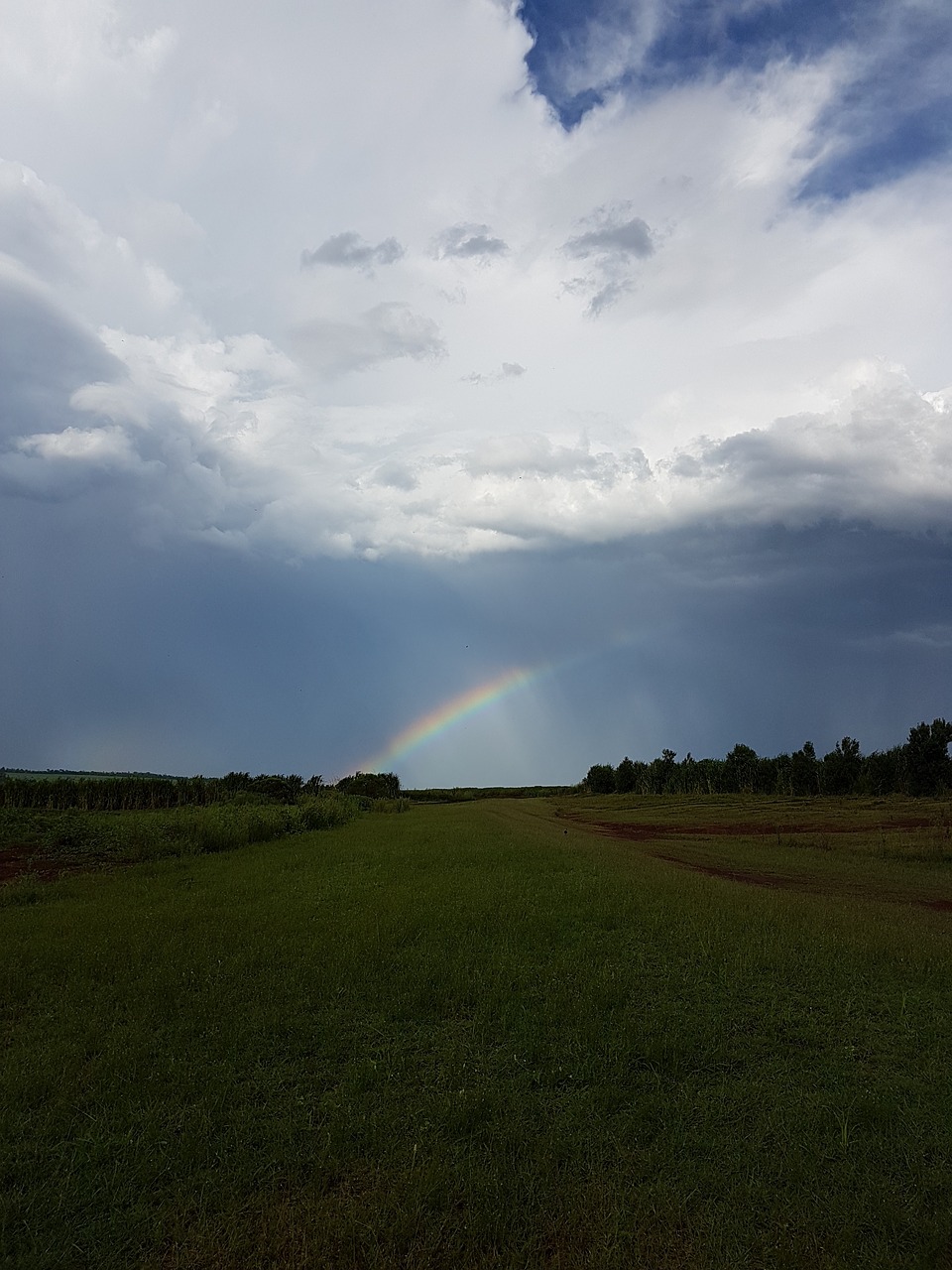 field arco-iris rain free photo
