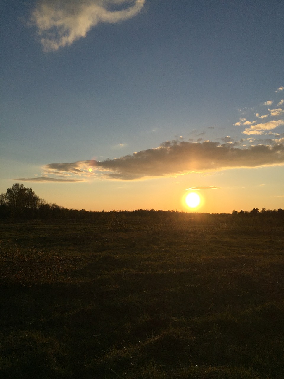 field sun spring free photo