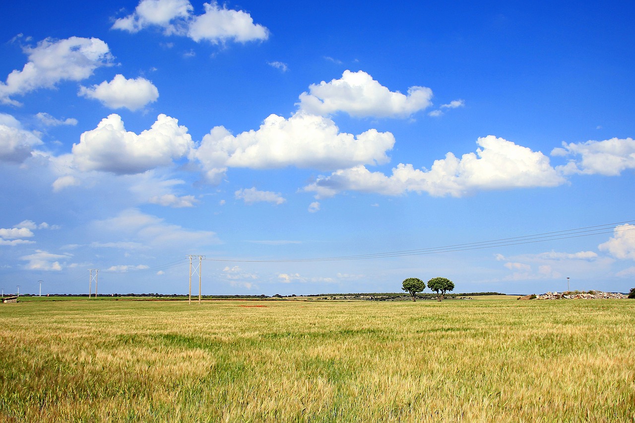 field nature clouds free photo