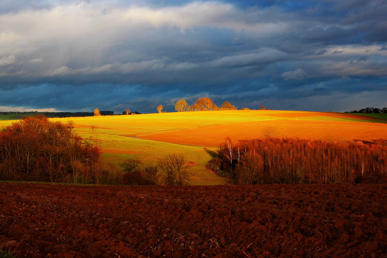 field autumn landscape free photo