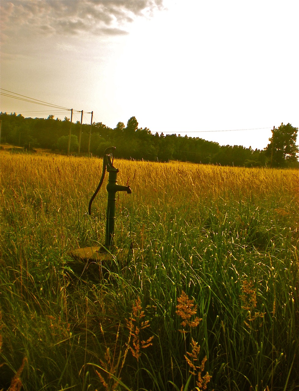 field grass well free photo