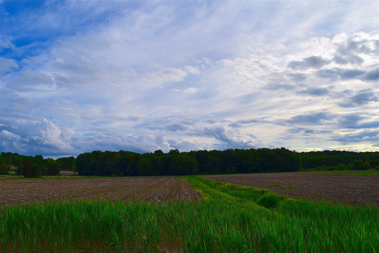 field farm cloudy sky free photo