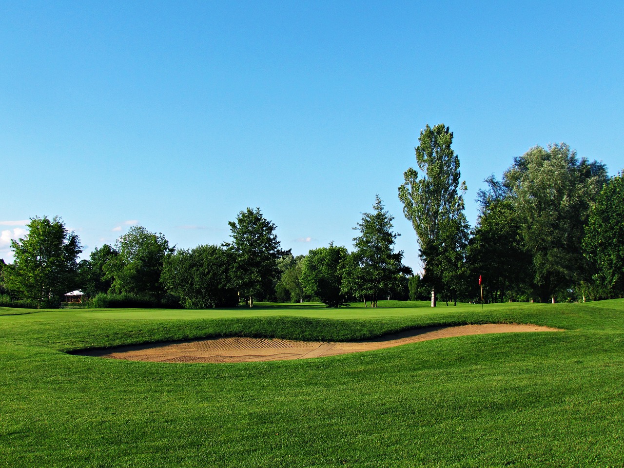 field golf nature free photo