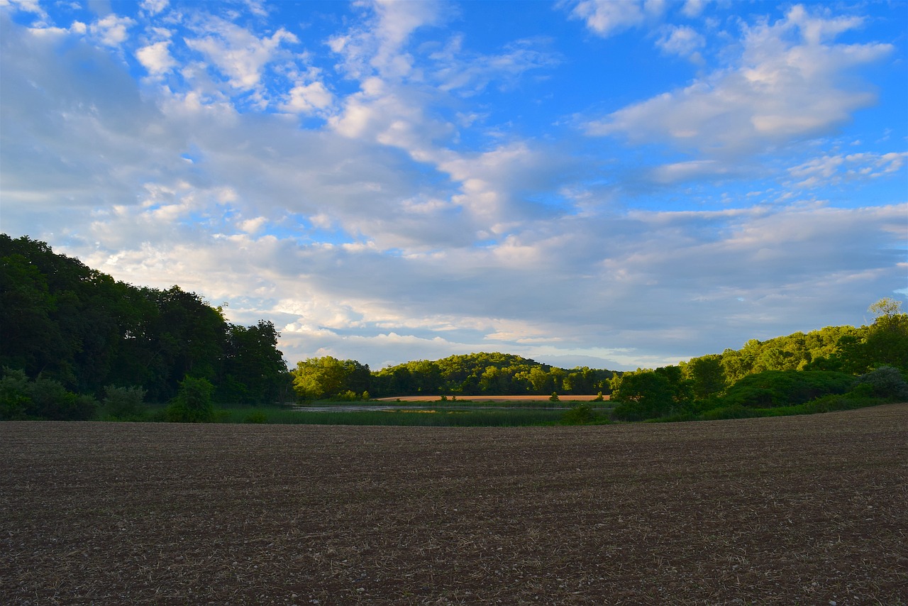 field sky evening free photo