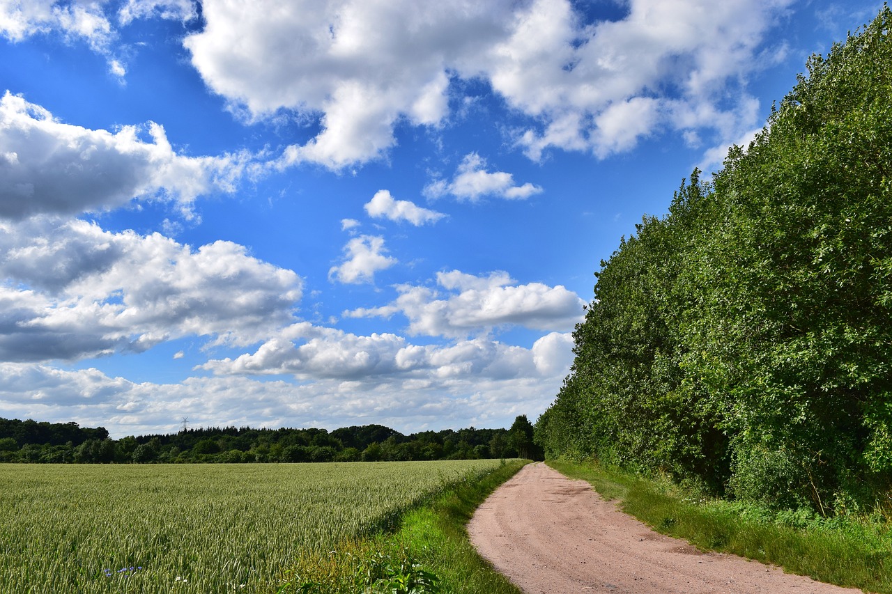 field away sky free photo