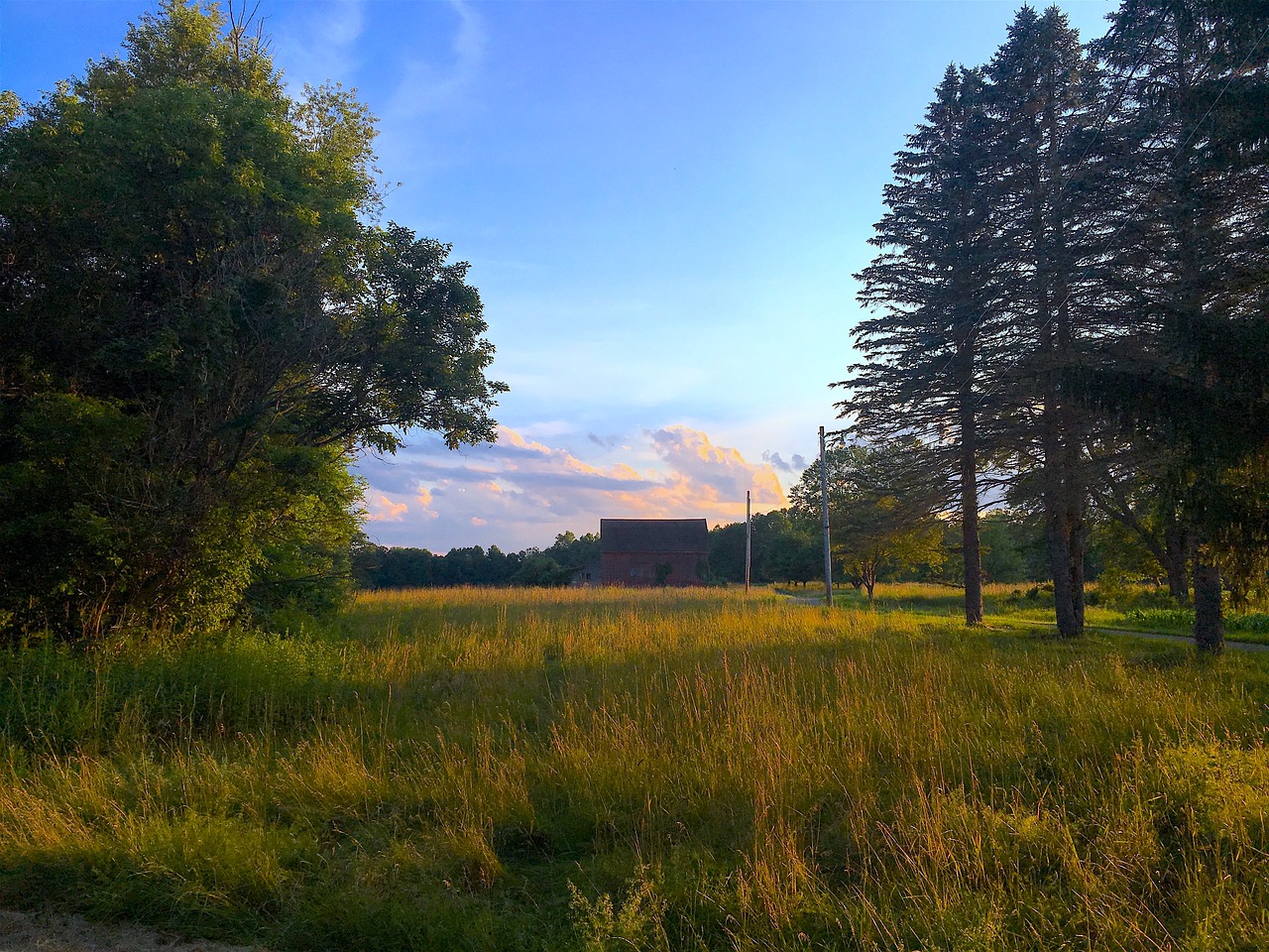 field farm sunset free photo