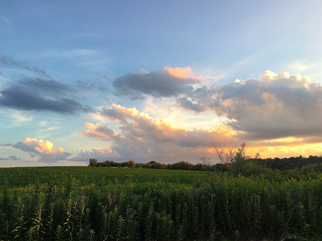 field farm sunset free photo