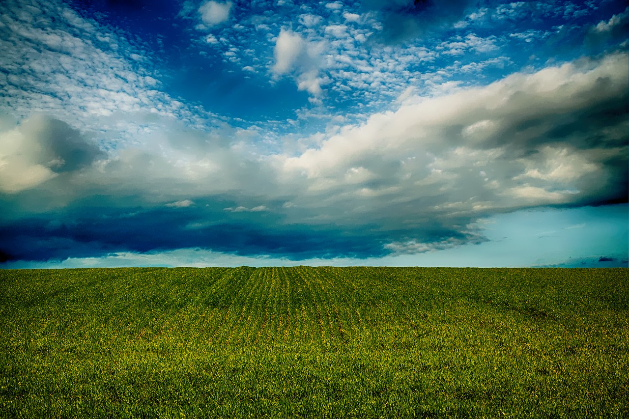 field sky countryside free photo