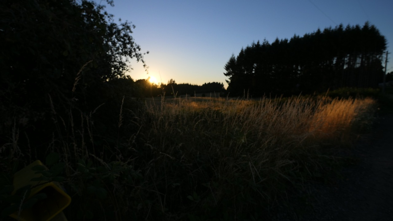 field dusk dark free photo