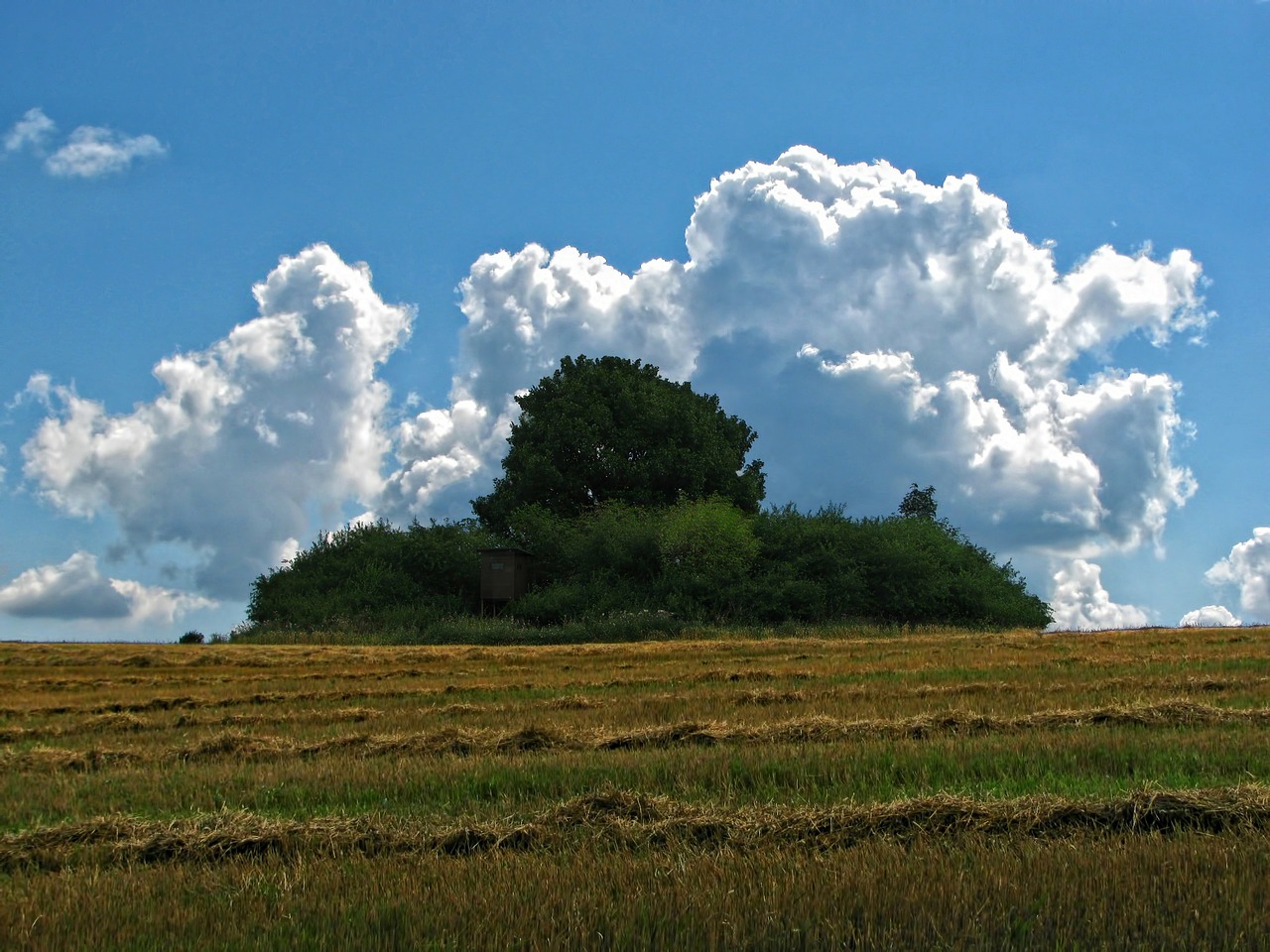 field sky clouds free photo