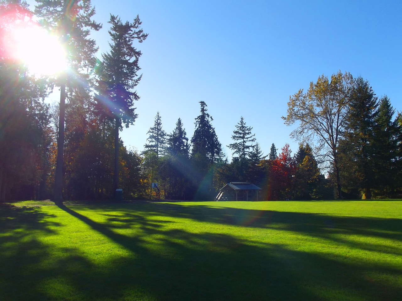 field sunshine park free photo