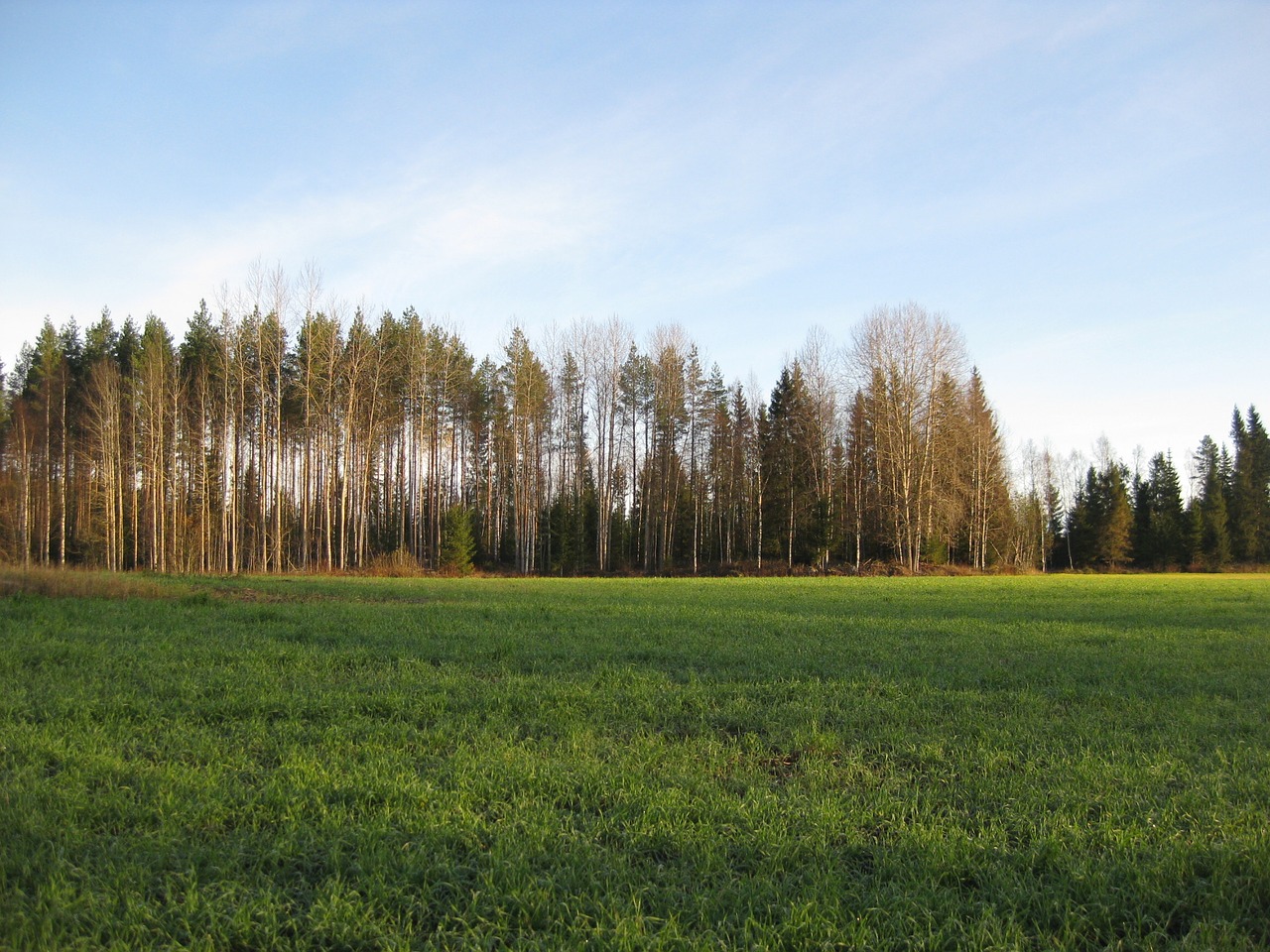 field autumn open free photo