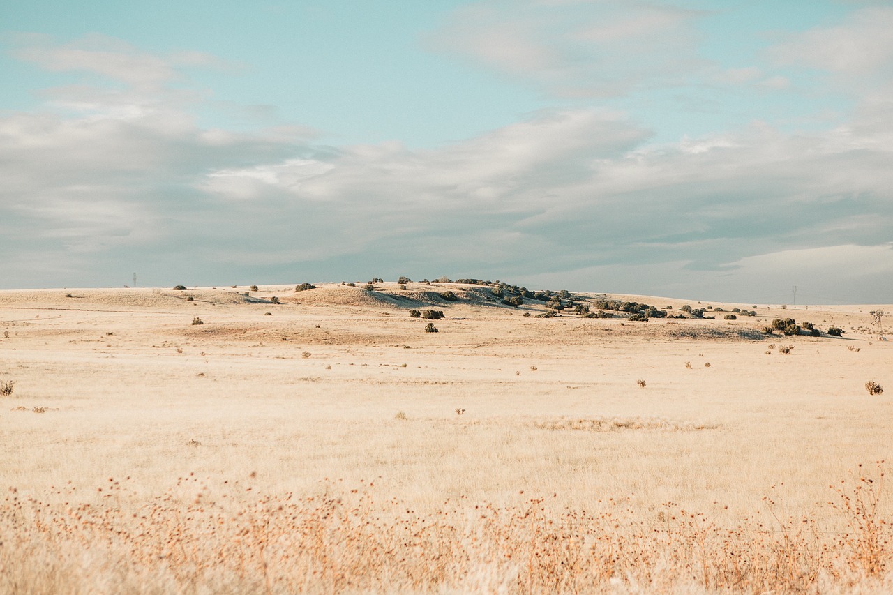 field dry drought free photo