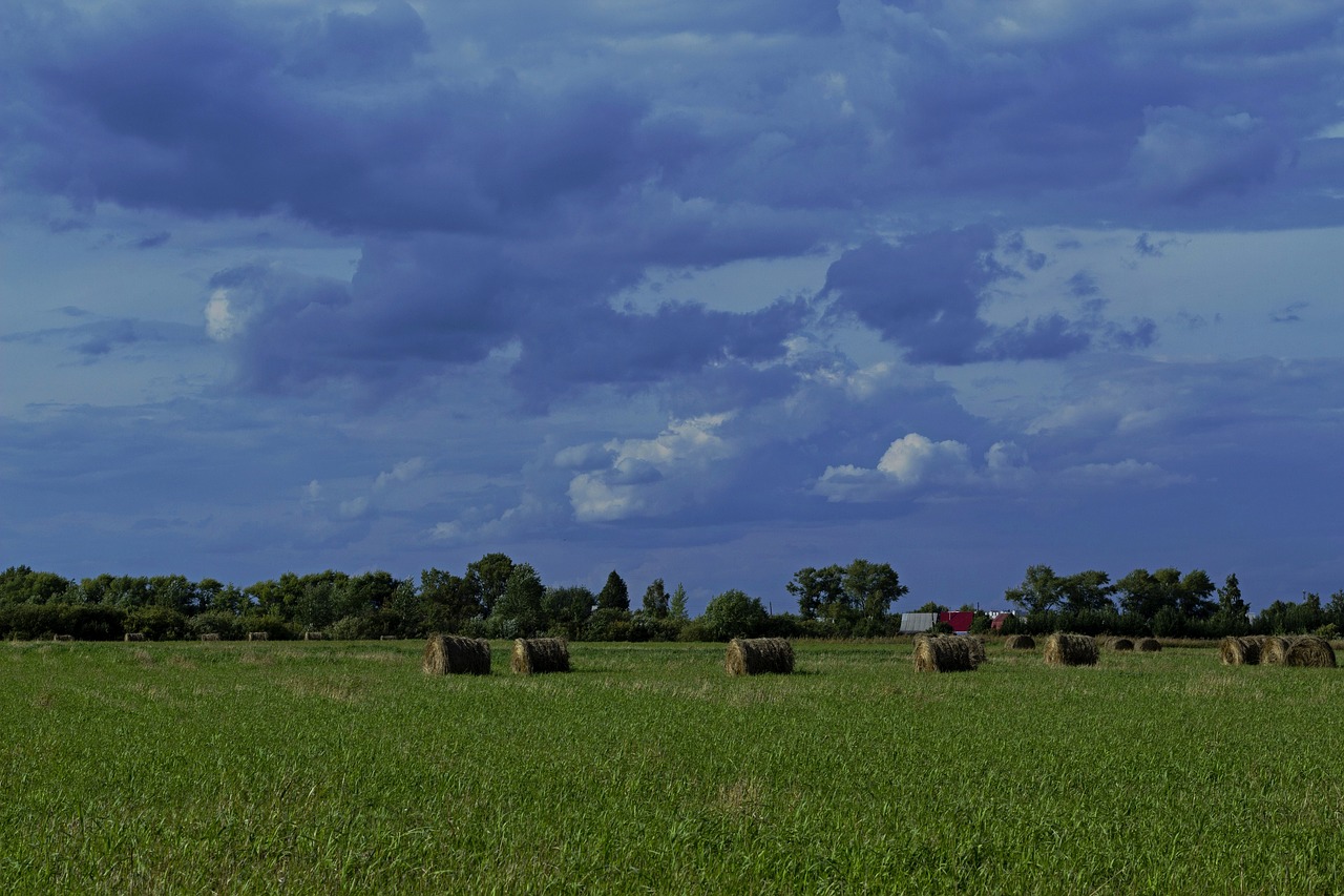 field hay clouds free photo