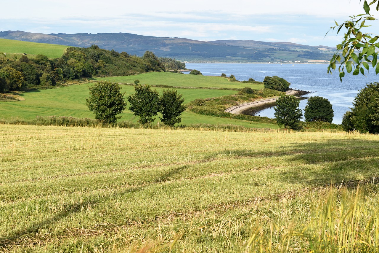 field farm countryside free photo