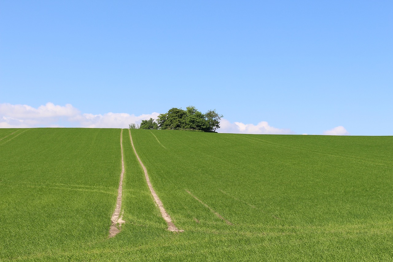 field fields denmark free photo