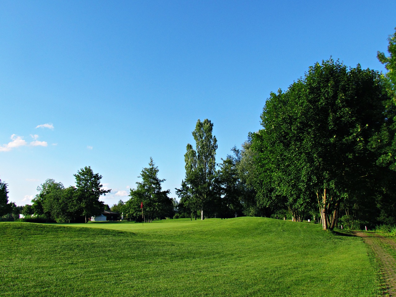 field meadow green free photo