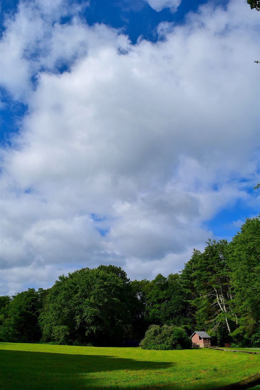 field sky sunlight free photo