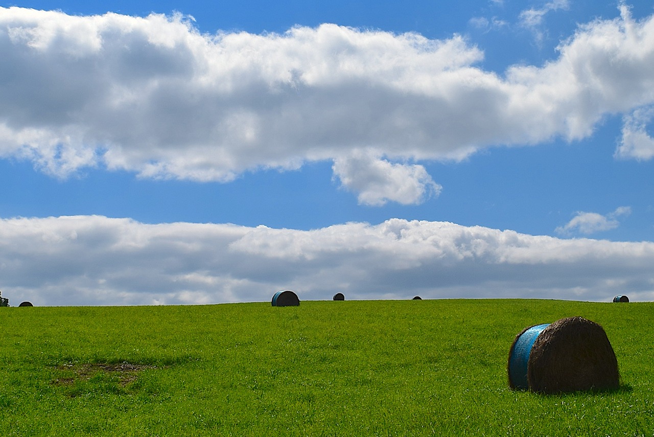 field green sky free photo