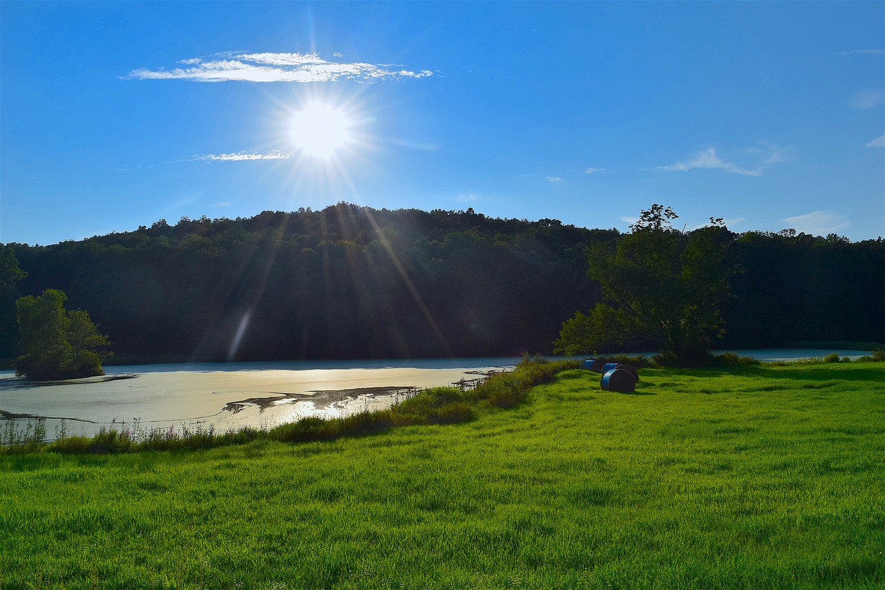 field pond sunlight free photo