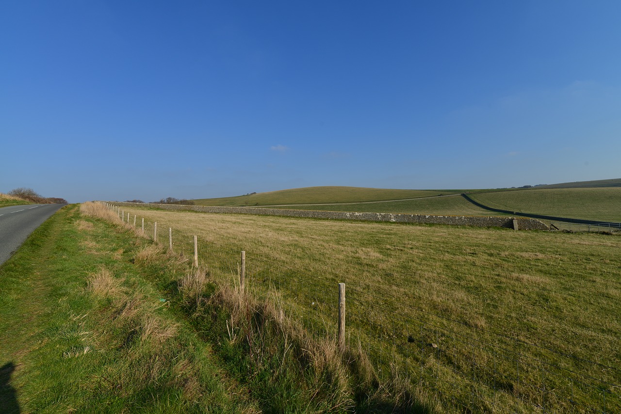 field meadow green free photo