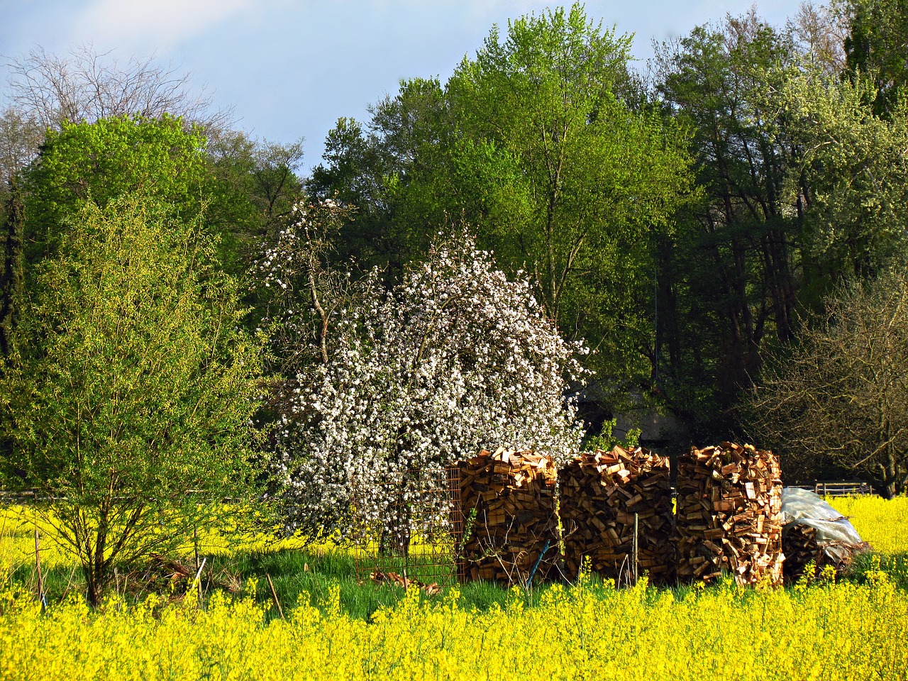 field meadow stack free photo