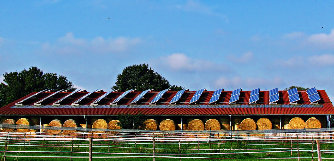 field meadow hay free photo