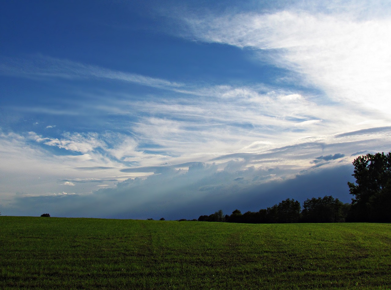 field meadow clouds free photo