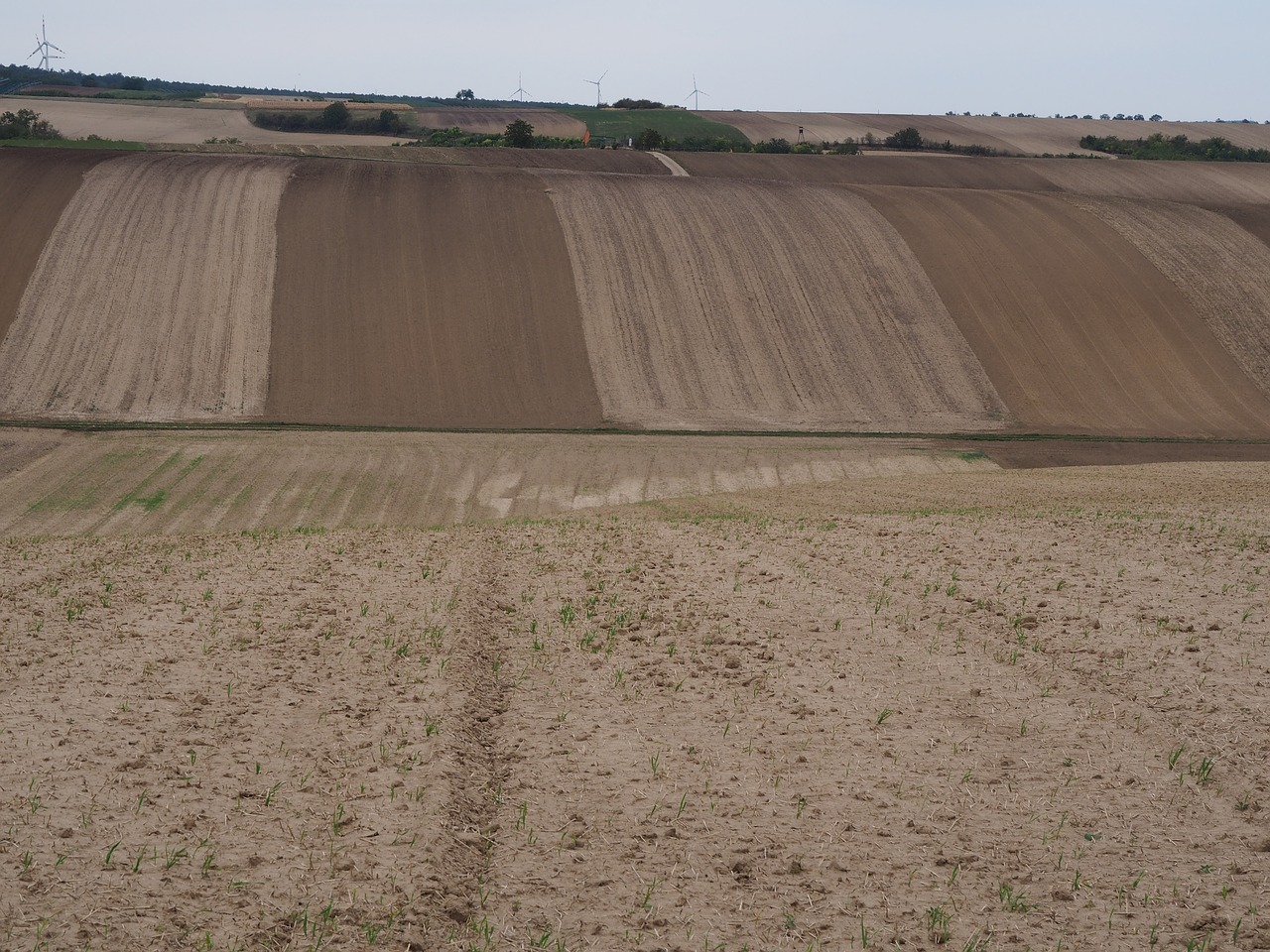 field agriculture movement free photo