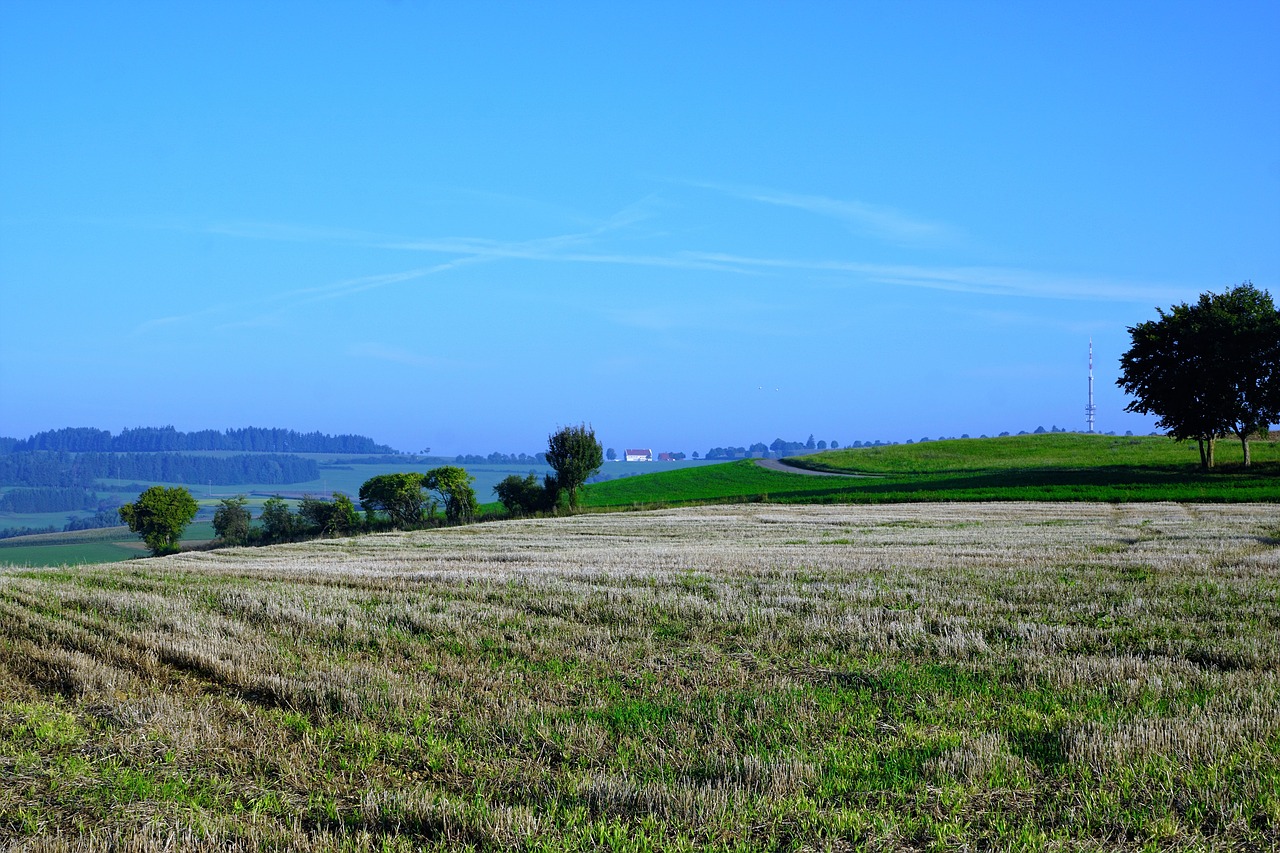 field meadow emmingen free photo