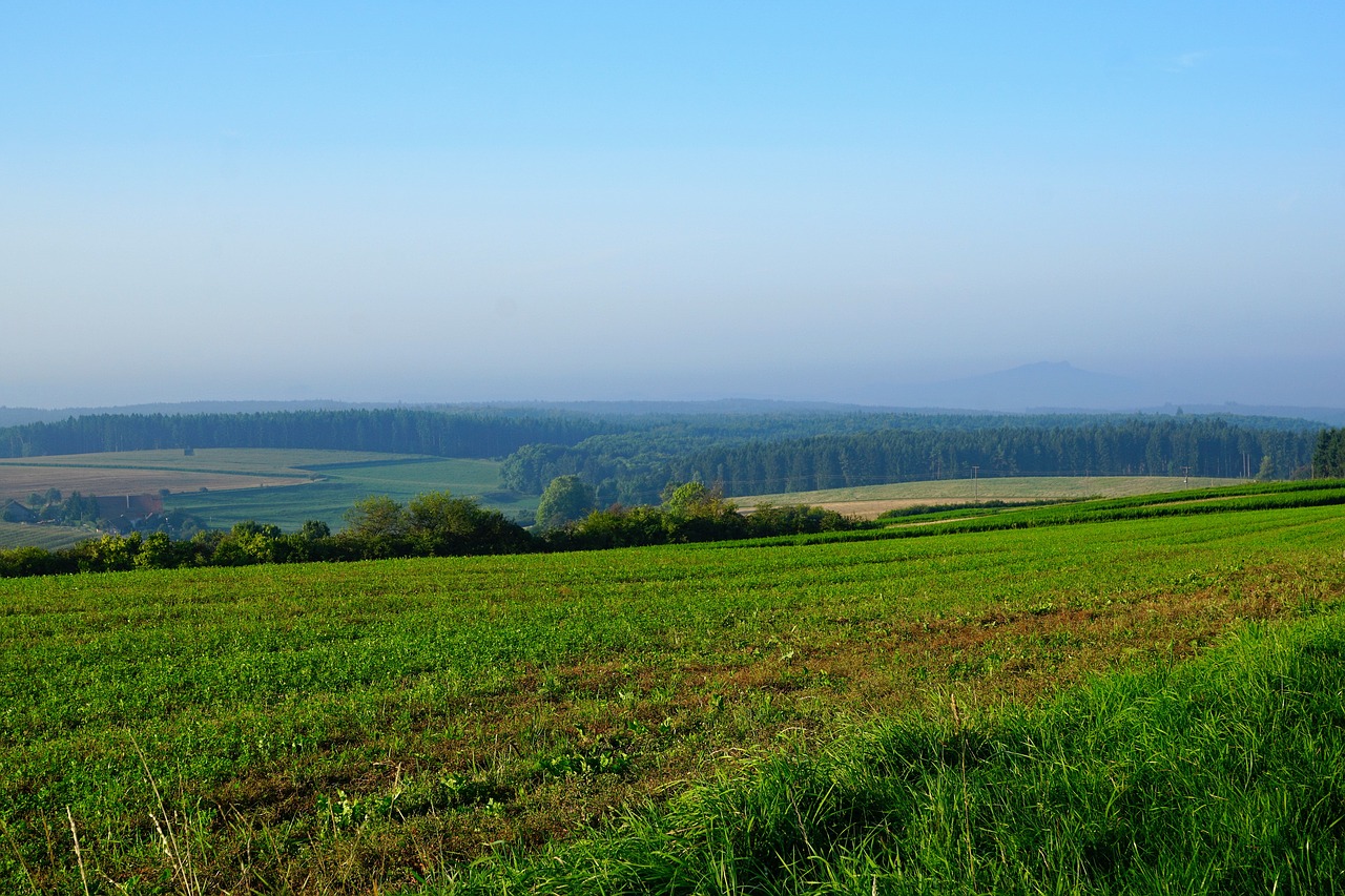 field meadow emmingen free photo