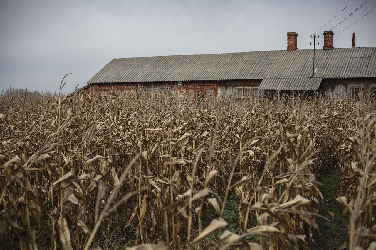 field house village free photo