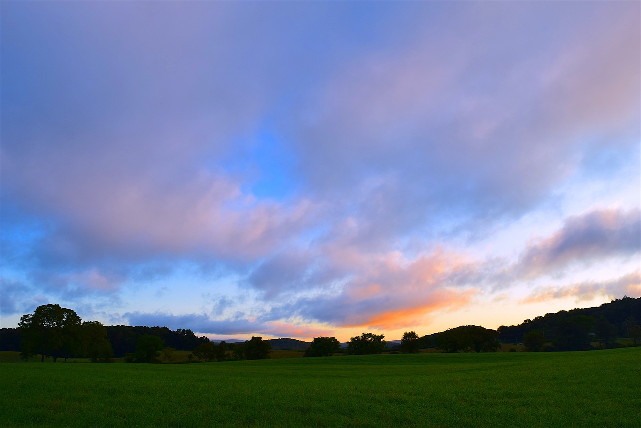 field sunrise green free photo