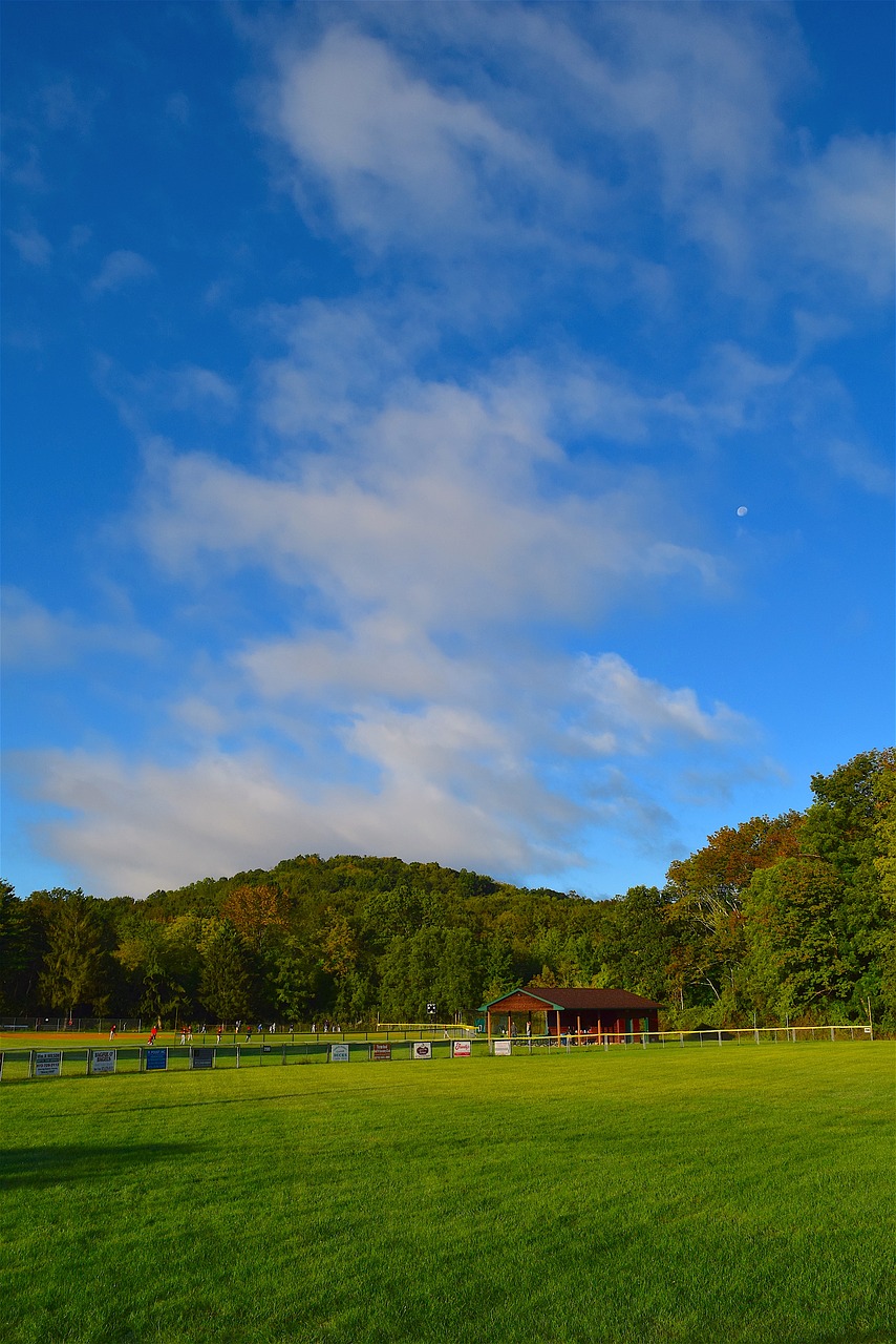 field sunrise green free photo