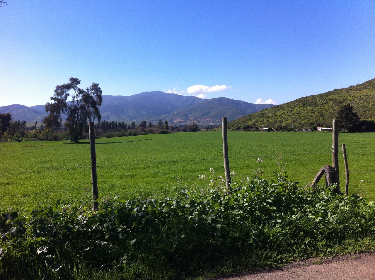 field landscape hill free photo