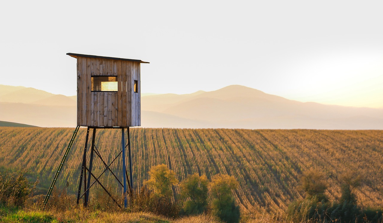 field shelter nature free photo