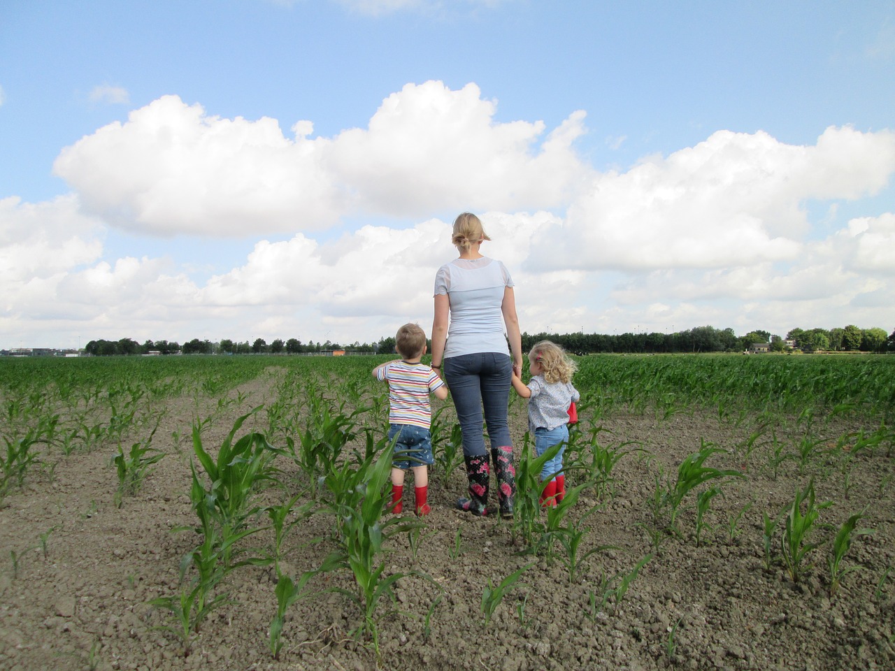 field children agricultural free photo