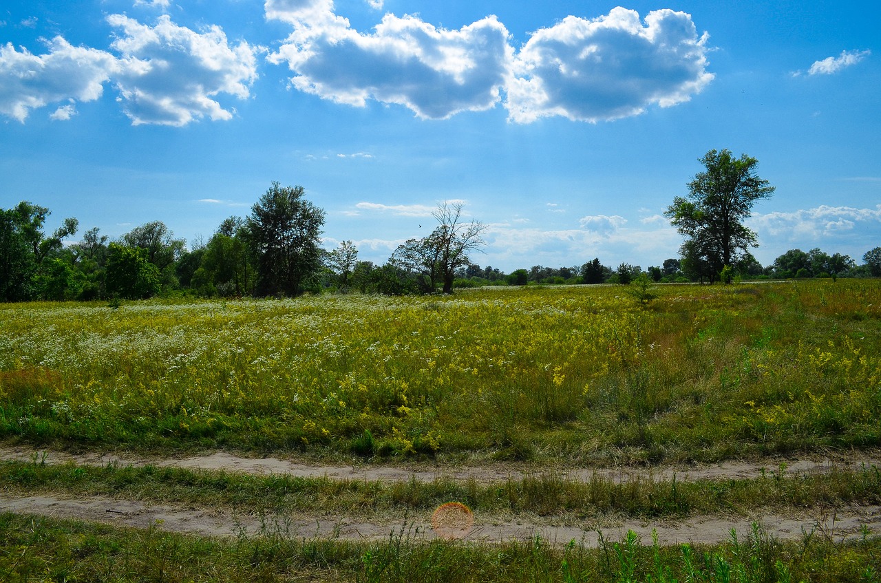 field sky landscape free photo